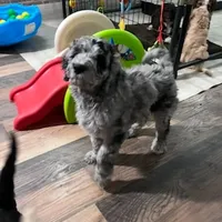 processed/a5cc13e7-7f80-4db3-bb8b-8ed0e241e4f4/facility/c3b60820-cc58-42ae-a460-ef477cee9485