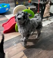 processed/a5cc13e7-7f80-4db3-bb8b-8ed0e241e4f4/facility/c3b60820-cc58-42ae-a460-ef477cee9485