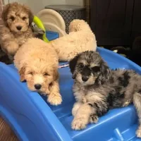 processed/a5cc13e7-7f80-4db3-bb8b-8ed0e241e4f4/facility/d083b9a9-b3e2-48ea-ad16-dc35f9da0bb9