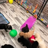 processed/a5cc13e7-7f80-4db3-bb8b-8ed0e241e4f4/facility/f77eaaa4-d45d-49d6-848c-3c6e87f74a5b