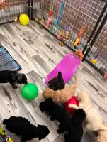 processed/a5cc13e7-7f80-4db3-bb8b-8ed0e241e4f4/facility/f77eaaa4-d45d-49d6-848c-3c6e87f74a5b