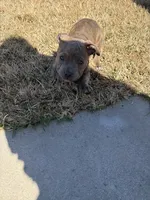 processed/a5cd43b6-8039-493c-8d6f-3de9f08b4813/listing/e3cea4a0-3469-443d-a2d6-63499ccc9ffe/2d5b9395-7196-4cca-9eb6-172da2dd5e88