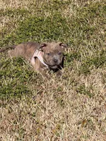 processed/a5cd43b6-8039-493c-8d6f-3de9f08b4813/listing/e3cea4a0-3469-443d-a2d6-63499ccc9ffe/41474185-aa2b-4f06-a312-ccdf45e6fea2