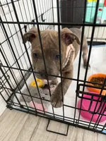 processed/a5cd43b6-8039-493c-8d6f-3de9f08b4813/listing/e3cea4a0-3469-443d-a2d6-63499ccc9ffe/9173a0a9-1074-450d-9ce5-aefb47e4ee76