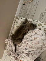 processed/a5cd43b6-8039-493c-8d6f-3de9f08b4813/listing/e3cea4a0-3469-443d-a2d6-63499ccc9ffe/bb1a1f3b-88a3-46d1-869d-9fd2c31ae0be