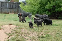 processed/a5cf5a9d-e177-480d-82f7-142cfe3e13aa/facility/774c7c8e-905f-406c-9ba8-ecb00fcf1342