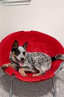 processed/a5d1f3fe-5d98-43f1-b15d-9daa309ff0ef/listing/539bec8e-3968-40c6-8d68-b17e94a195c4/99db4eda-e0fa-496b-902e-be5dac732b57