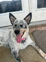 processed/a5d1f3fe-5d98-43f1-b15d-9daa309ff0ef/listing/539bec8e-3968-40c6-8d68-b17e94a195c4/ae985a21-631f-44a4-aa30-90a325085710