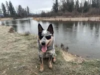 processed/a5d1f3fe-5d98-43f1-b15d-9daa309ff0ef/listing/539bec8e-3968-40c6-8d68-b17e94a195c4/bd31fed8-247f-4460-8b96-2a9ea0758f43