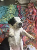 processed/a5d1f3fe-5d98-43f1-b15d-9daa309ff0ef/listing/539bec8e-3968-40c6-8d68-b17e94a195c4/c9510911-e8fd-436b-93cb-1f3da60b1515