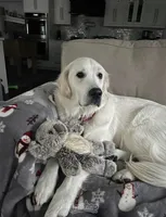 processed/a5d1f3fe-5d98-43f1-b15d-9daa309ff0ef/listing/a9015443-c09c-49c7-868f-31ba73da9f36/7a401c5b-5a67-4297-8720-2a849adfec53