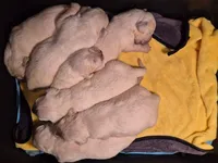 processed/a5d1f3fe-5d98-43f1-b15d-9daa309ff0ef/listing/a9015443-c09c-49c7-868f-31ba73da9f36/c25f4f4a-be61-45c9-a94f-afc17fbda7ab