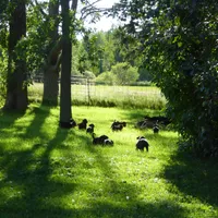 processed/a5e64976-bc97-4b0d-a619-2e30b7c73221/facility/30eadaaf-0d7d-46a0-b559-6ac934436b6c