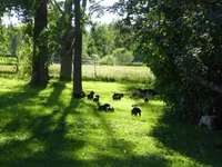 processed/a5e64976-bc97-4b0d-a619-2e30b7c73221/facility/30eadaaf-0d7d-46a0-b559-6ac934436b6c