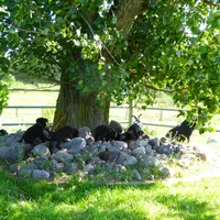 processed/a5e64976-bc97-4b0d-a619-2e30b7c73221/facility/56f479b8-f666-459d-bfa9-e974dd9af447