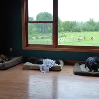 processed/a5e64976-bc97-4b0d-a619-2e30b7c73221/facility/a8c0a4b4-600e-4cd0-ab7d-28d63d771e70