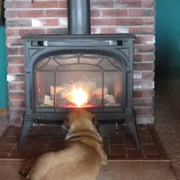 processed/a5e64976-bc97-4b0d-a619-2e30b7c73221/facility/aaf56567-8484-426d-aa82-adc6ada368f3