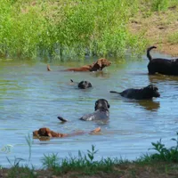 processed/a5e64976-bc97-4b0d-a619-2e30b7c73221/facility/e089d4fd-e6a6-45f4-b3cf-80bd1d59f13f