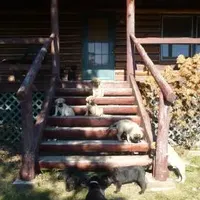 processed/a5e64976-bc97-4b0d-a619-2e30b7c73221/facility/e53d205c-7dfe-49c2-ba62-1f5b07212c0f