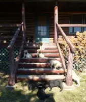 processed/a5e64976-bc97-4b0d-a619-2e30b7c73221/facility/e53d205c-7dfe-49c2-ba62-1f5b07212c0f