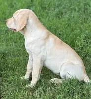 processed/a5e64976-bc97-4b0d-a619-2e30b7c73221/listing/02d67dfc-ee6a-4ca8-8fd2-cfb7c608b749/12146101-0e26-421c-ae95-027342e818c1