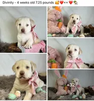 processed/a5e64976-bc97-4b0d-a619-2e30b7c73221/listing/02d67dfc-ee6a-4ca8-8fd2-cfb7c608b749/7839dead-6146-4a4d-93e8-1577f3008342