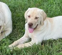 processed/a5e64976-bc97-4b0d-a619-2e30b7c73221/listing/02d67dfc-ee6a-4ca8-8fd2-cfb7c608b749/da745560-5dc3-44ad-bc2d-638242d03f02