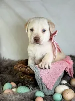 processed/a5e64976-bc97-4b0d-a619-2e30b7c73221/listing/02d67dfc-ee6a-4ca8-8fd2-cfb7c608b749/dd171b58-7a9a-45ef-8628-dc0891e286f9