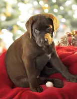 processed/a5e64976-bc97-4b0d-a619-2e30b7c73221/listing/3f721264-cf39-4ee7-9904-02a1b7d73024/3c38231b-6995-458e-9cd5-3420631d442a