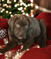 processed/a5e64976-bc97-4b0d-a619-2e30b7c73221/listing/3f721264-cf39-4ee7-9904-02a1b7d73024/4158a879-4f3c-4335-bdda-2c2f962c29ad