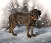 processed/a5e64976-bc97-4b0d-a619-2e30b7c73221/listing/3f721264-cf39-4ee7-9904-02a1b7d73024/c363c886-b4ba-42ec-8e31-385203a2c958