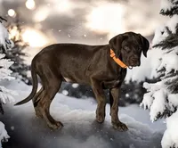 processed/a5e64976-bc97-4b0d-a619-2e30b7c73221/listing/3f721264-cf39-4ee7-9904-02a1b7d73024/d3268369-3a57-4831-bde9-a9fa4ee80066