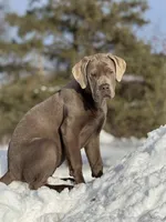 processed/a5e64976-bc97-4b0d-a619-2e30b7c73221/listing/6f4377c6-c5ea-4d0b-aae1-7bd0aa6fcc9d/337d4d38-fede-4a05-a2cc-8b98c29e24bc