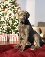 processed/a5e64976-bc97-4b0d-a619-2e30b7c73221/listing/6f4377c6-c5ea-4d0b-aae1-7bd0aa6fcc9d/507d930a-e8c1-4eb5-8936-85ac4609042b