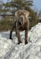 processed/a5e64976-bc97-4b0d-a619-2e30b7c73221/listing/6f4377c6-c5ea-4d0b-aae1-7bd0aa6fcc9d/ca925e12-ceb8-443b-9964-6a7e7d17263c