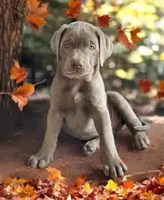 processed/a5e64976-bc97-4b0d-a619-2e30b7c73221/listing/6f4377c6-c5ea-4d0b-aae1-7bd0aa6fcc9d/ce1dada4-fa6f-45ad-abc7-2871c8a73103