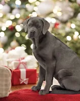 processed/a5e64976-bc97-4b0d-a619-2e30b7c73221/listing/6f4377c6-c5ea-4d0b-aae1-7bd0aa6fcc9d/efed0f36-d5d0-4317-a04b-31439e360305