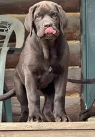 processed/a5e64976-bc97-4b0d-a619-2e30b7c73221/listing/a59e92c0-b322-4161-b66a-c27f25b6acc6/a2601127-0f0b-4585-a604-f0bdae966a22