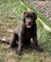 processed/a5e64976-bc97-4b0d-a619-2e30b7c73221/listing/a59e92c0-b322-4161-b66a-c27f25b6acc6/ab1c7908-fd04-4da4-be13-618067777a65