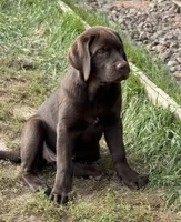 processed/a5e64976-bc97-4b0d-a619-2e30b7c73221/listing/a59e92c0-b322-4161-b66a-c27f25b6acc6/d7c2a67e-d692-4688-bd31-67af5af0ed89