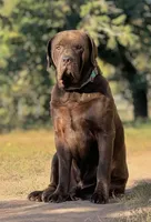 processed/a5e64976-bc97-4b0d-a619-2e30b7c73221/listing/a59e92c0-b322-4161-b66a-c27f25b6acc6/e3cc418a-69af-46dc-8b1a-06d5ecc97def