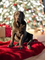 processed/a5e64976-bc97-4b0d-a619-2e30b7c73221/listing/a59e92c0-b322-4161-b66a-c27f25b6acc6/eb19018f-9569-42d3-9003-43d252ae0882