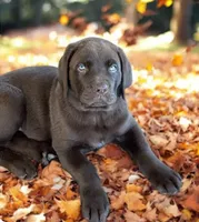 processed/a5e64976-bc97-4b0d-a619-2e30b7c73221/listing/a59e92c0-b322-4161-b66a-c27f25b6acc6/eefb8fbe-cbcf-4609-9995-03a81aa0c76f