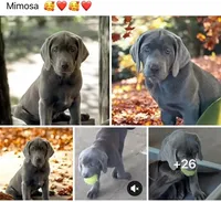 processed/a5e64976-bc97-4b0d-a619-2e30b7c73221/listing/ae70a194-2f69-448f-bea1-8ecf68714d97/a5279bec-2dc3-47ae-ace5-6fd3809ba749