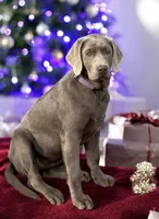 processed/a5e64976-bc97-4b0d-a619-2e30b7c73221/listing/ae70a194-2f69-448f-bea1-8ecf68714d97/bd43f54e-32e7-4611-8b64-6d4b6fba3396