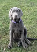 processed/a5e64976-bc97-4b0d-a619-2e30b7c73221/listing/ae70a194-2f69-448f-bea1-8ecf68714d97/ca86ff3a-be09-447d-ab19-c05ce56750fd