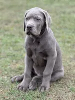 processed/a5e64976-bc97-4b0d-a619-2e30b7c73221/listing/ee385b37-efca-4074-9421-0805b86e34a8/1c1d61ad-f508-4efe-bbf3-a194f2a53d0e