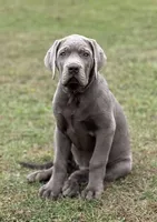 processed/a5e64976-bc97-4b0d-a619-2e30b7c73221/listing/ee385b37-efca-4074-9421-0805b86e34a8/31c75694-f684-4f1c-b52e-917b3edd4827