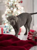 processed/a5e64976-bc97-4b0d-a619-2e30b7c73221/listing/ee385b37-efca-4074-9421-0805b86e34a8/937fe391-7134-4f0a-b0fb-987a549d5716