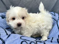 processed/a5f28cd1-0e3e-4564-ba56-2348f374b245/listing/18b8da02-e415-402e-8bdf-d9f3dfa43424/00c179fd-1ef2-4c25-9166-8a442203f6cb